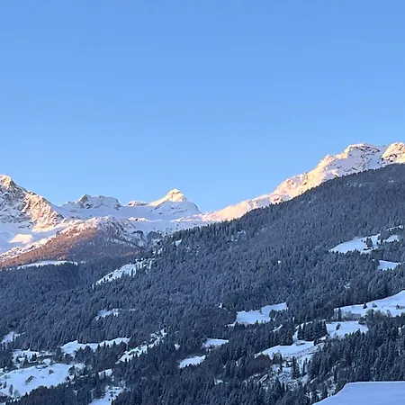 Il Cardellino