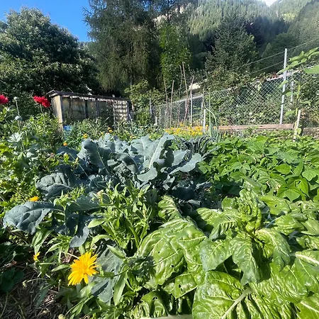 לינה וארוחת בוקר Il Cardellino San Carlo (Grisons)