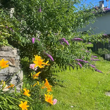 Panzió Il Cardellino