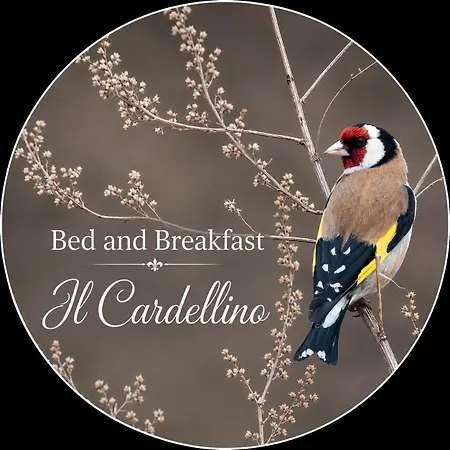 فندق مبيت وإفطار Il Cardellino