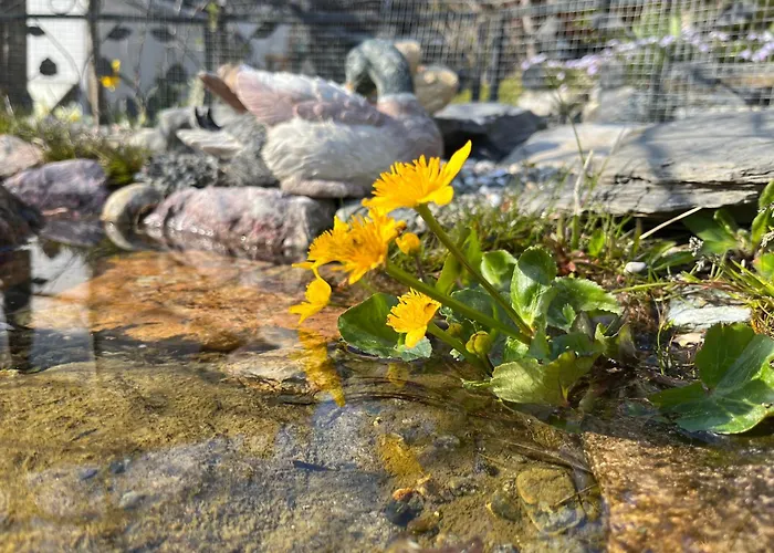 Il Cardellino 3* San Carlo (Grisons)