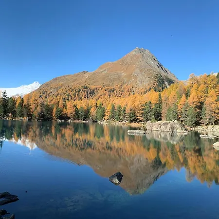 Oda ve Kahvaltı Il Cardellino San Carlo (Grisons)