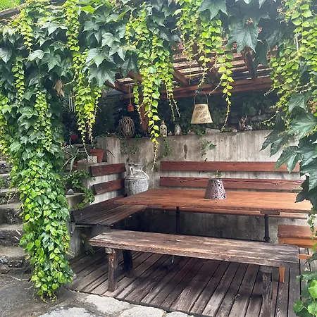 Il Cardellino San Carlo (Grisons)