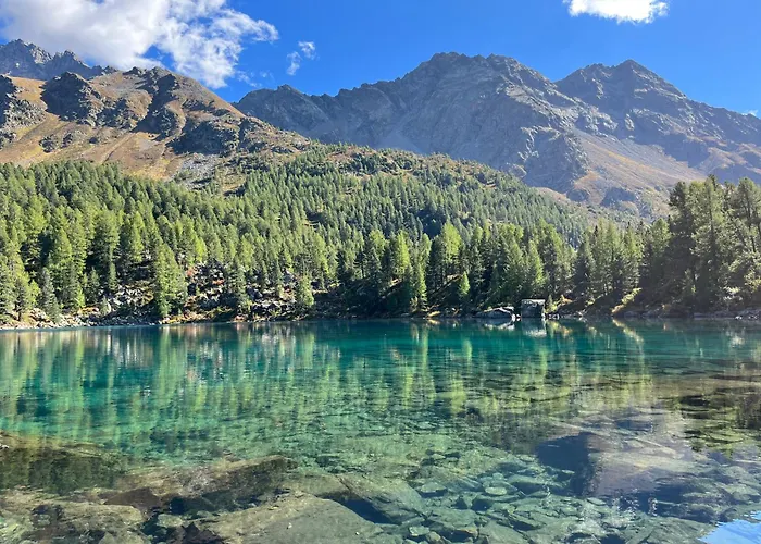 Alojamento de Acomodação e Pequeno-almoço Il Cardellino