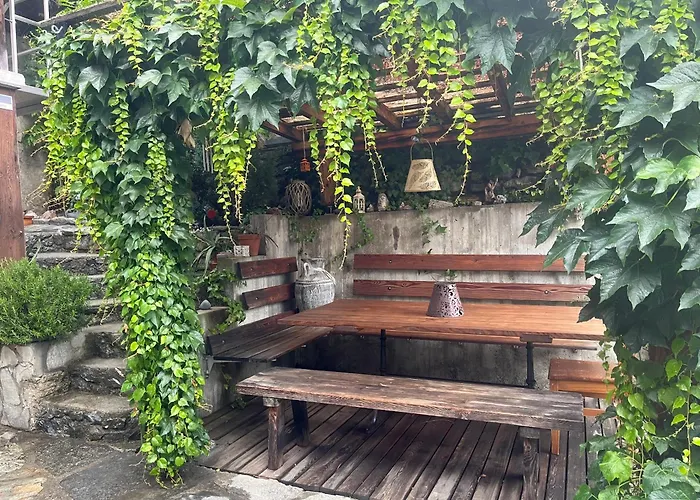 Il Cardellino San Carlo (Grisons)