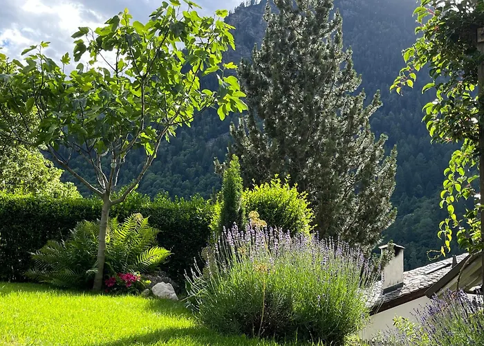 Il Cardellino San Carlo (Grisons)