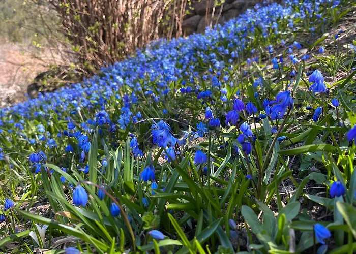 Alojamento de Acomodação e Pequeno-almoço Il Cardellino San Carlo (Grisons)