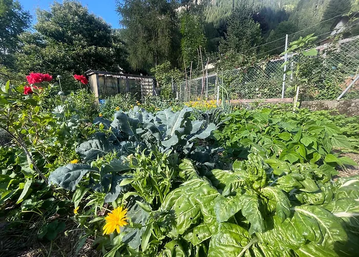 Alojamento de Acomodação e Pequeno-almoço Il Cardellino San Carlo (Grisons)