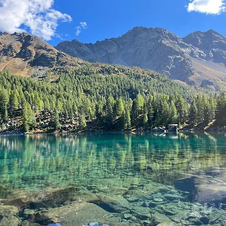 住宿加早餐酒店 Il Cardellino