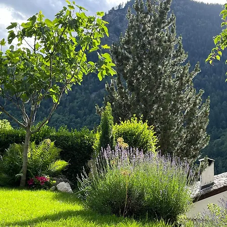 Il Cardellino San Carlo (Grisons)