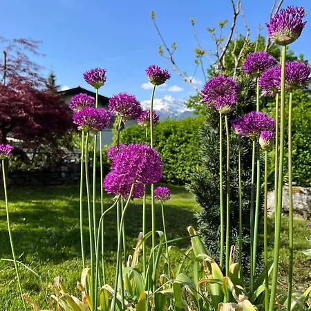住宿加早餐酒店 Il Cardellino