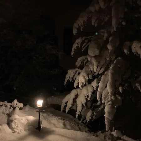 Il Cardellino San Carlo (Grisons)