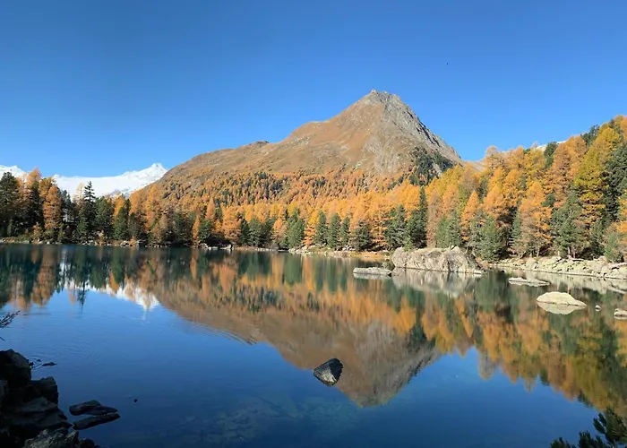 فندق مبيت وإفطار Il Cardellino San Carlo (Grisons)
