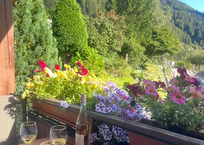 Il Cardellino San Carlo (Grisons)