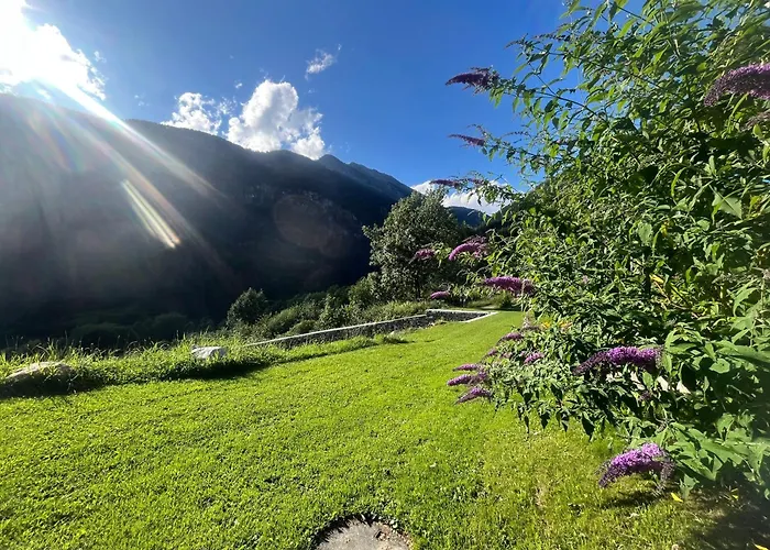 فندق مبيت وإفطار Il Cardellino