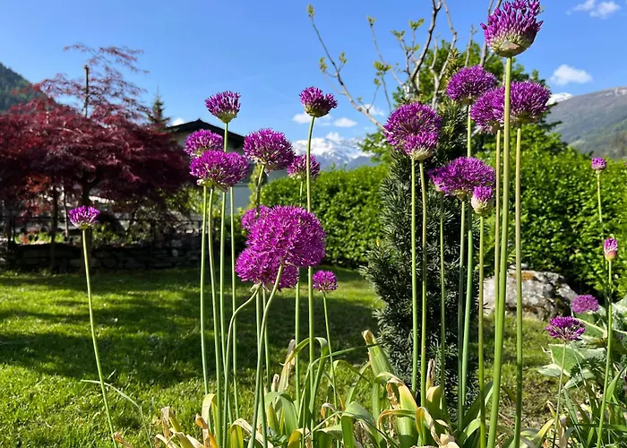 فندق مبيت وإفطار Il Cardellino