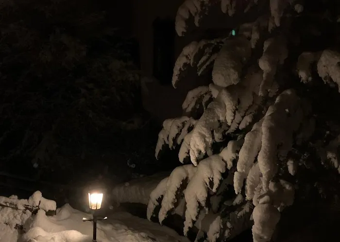 Il Cardellino San Carlo (Grisons)